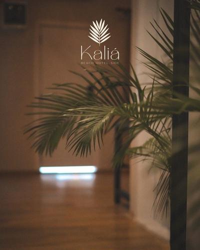 Kalia Beach Hotel Side
