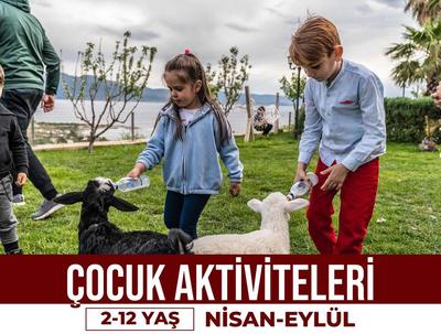 Alis Harikalar Diyarı