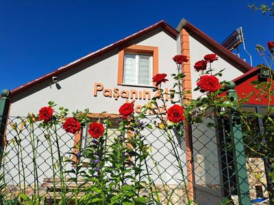 Paşanın Ali Konağı 