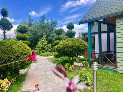 Kalipso Park Butik Otel