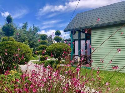 Kalipso Park Butik Otel