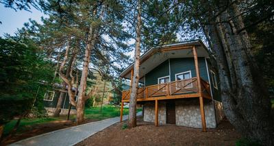 Başkonuş Yaylası Orman Evleri