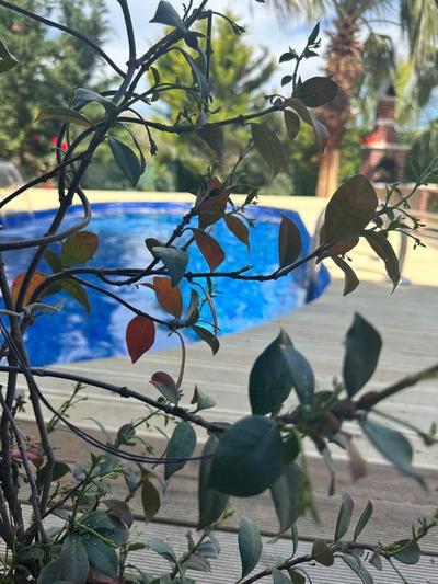 Rentavill Villaları