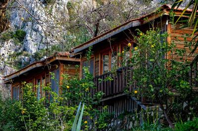 Palmira Bungalow & Camping