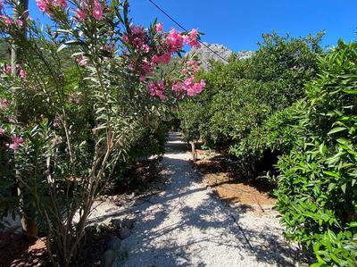 Maya Olympos (Adult Only +12)