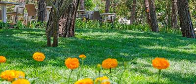 Pine Club Boutique Hotel & Spa