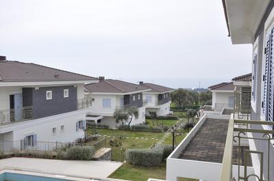 Villa Olive Poolside