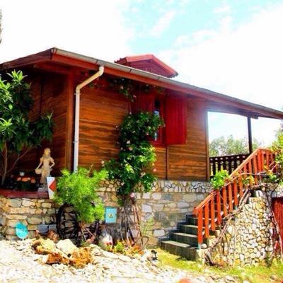 Albatross Dağ Evleri