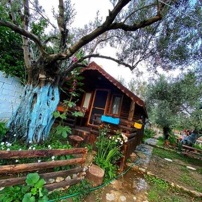 Zeytin Dagi Bungalow