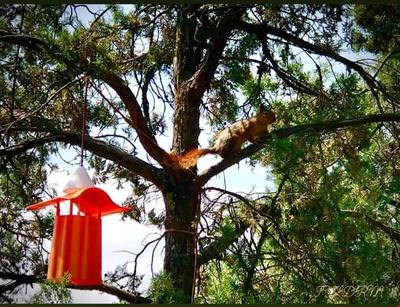 Harmancık Eko Turizm Tesisleri
