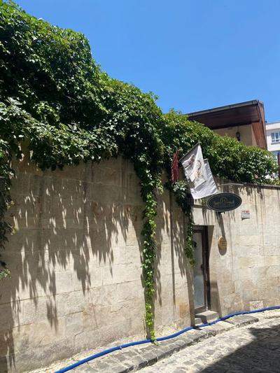 Hülya Hanım Konakları