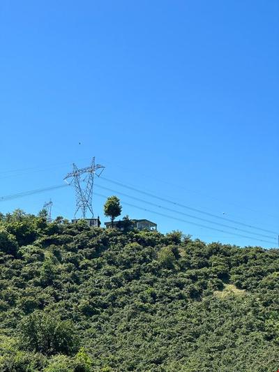 Giresun Tirebolu Kaplan House