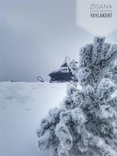 Zigana Gümüşkayak Yaylakent Hotel & Bungalow