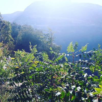 Ümit Aile Pansiyonu