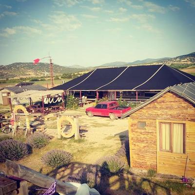Panoramık Lavanta Çadırı