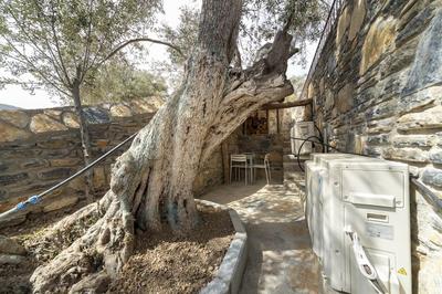 Bodrum Yalıçiftlik'de Villa Bd482