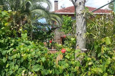 Sun Dalyan-Yeni Adet Organic Hotel