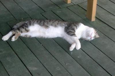 Sun Dalyan-Yeni Adet Organic Hotel