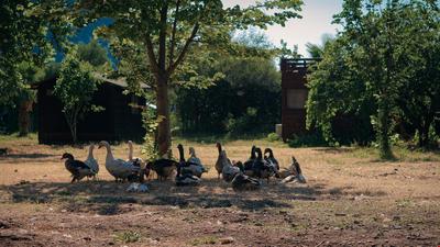Kelebekler Vadisi / Butterfly Valley