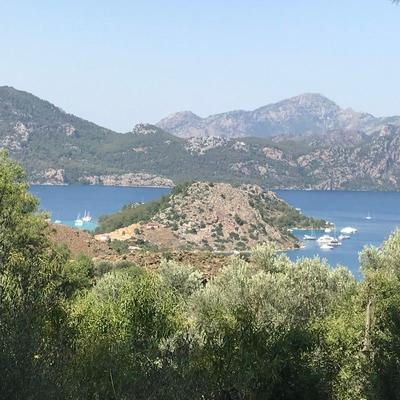 Selimiye Orman Evleri