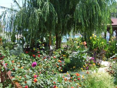 Yunus Apart Selimiye