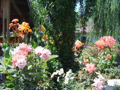 Yunus Apart Selimiye