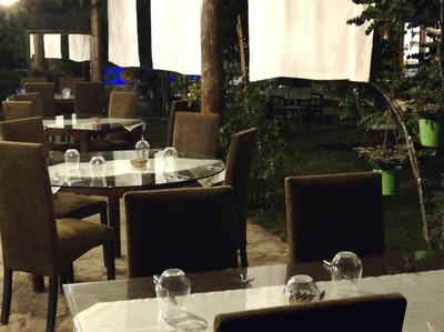 Green House Boğaziçi -Dodo House