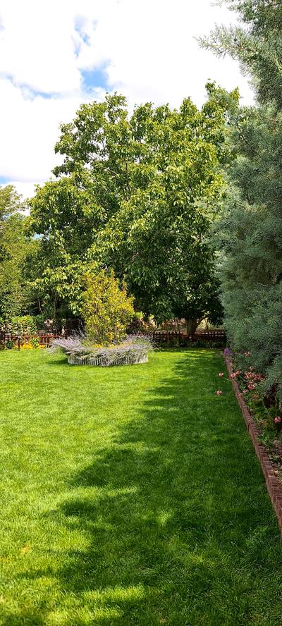 Ebruli Cennet Bahçesi