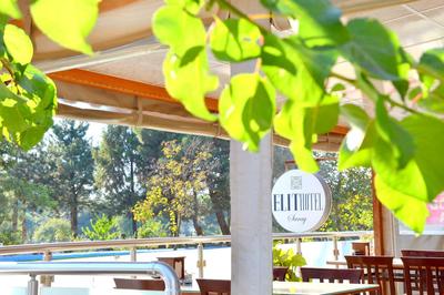 Elit Hotel Saray