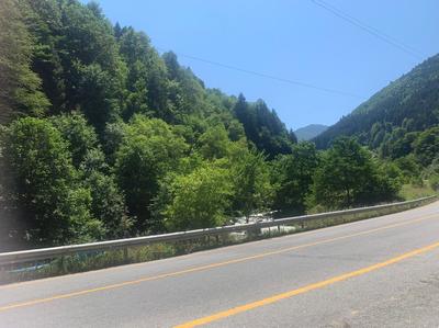 Uzungöl Barbaros Apart