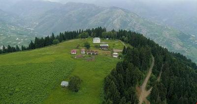 Pilav Dagi Yavuzyilmaz Tesisleri (Yates)