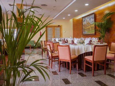 Bardo Recoletos Coco Salamanca