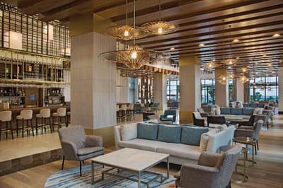 Acanthus and Cennet Barut Collectio