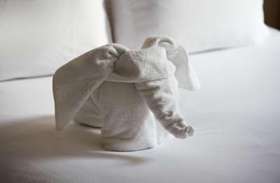 Orida Hotels Maidstone