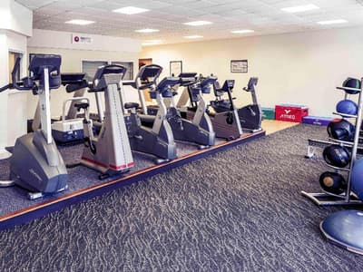 Mercure Maidstone Great Danes