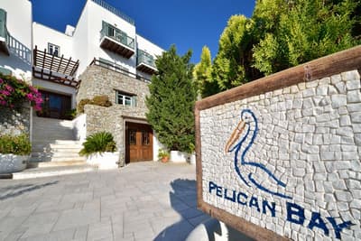 Pelican Bay Art