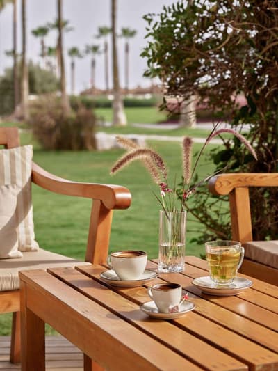 Lara Barut Collection