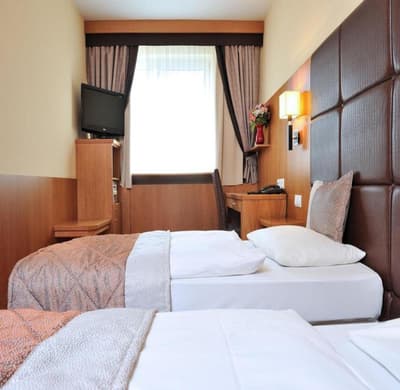 Carlton Hotel Buda Castle
