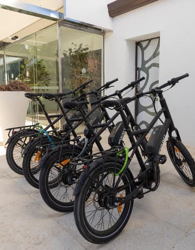 Encinar de Sotogrande