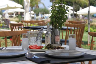 Crystal Springs Beach Hotel