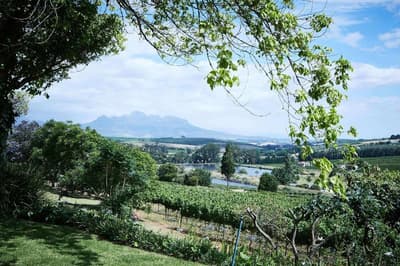 The Devon Valley