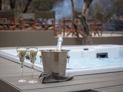 Ivory Tree Game Lodge