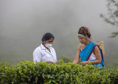 Heritance Tea Factory