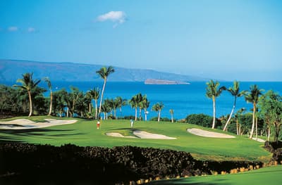 Palms at Wailea Maui