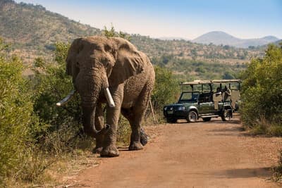 Bakubung Bush Lodge