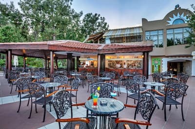 Gypsophila Club Marine