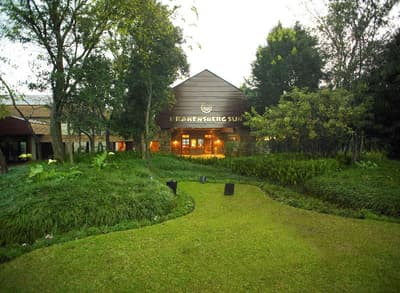 Drakensberg Sun