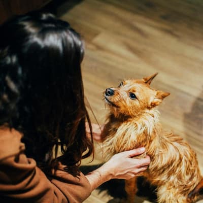 Petit Palace Plaza del Carmen