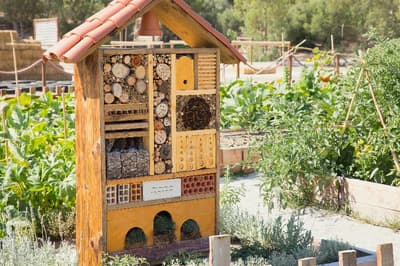 Barcelo Montecastillo Golf