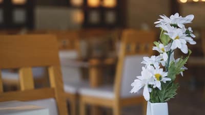 Green Forest Holiday Village